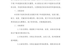 如何设计一个适合个人的篮球训练支持方案:从目标到实现的全面指南